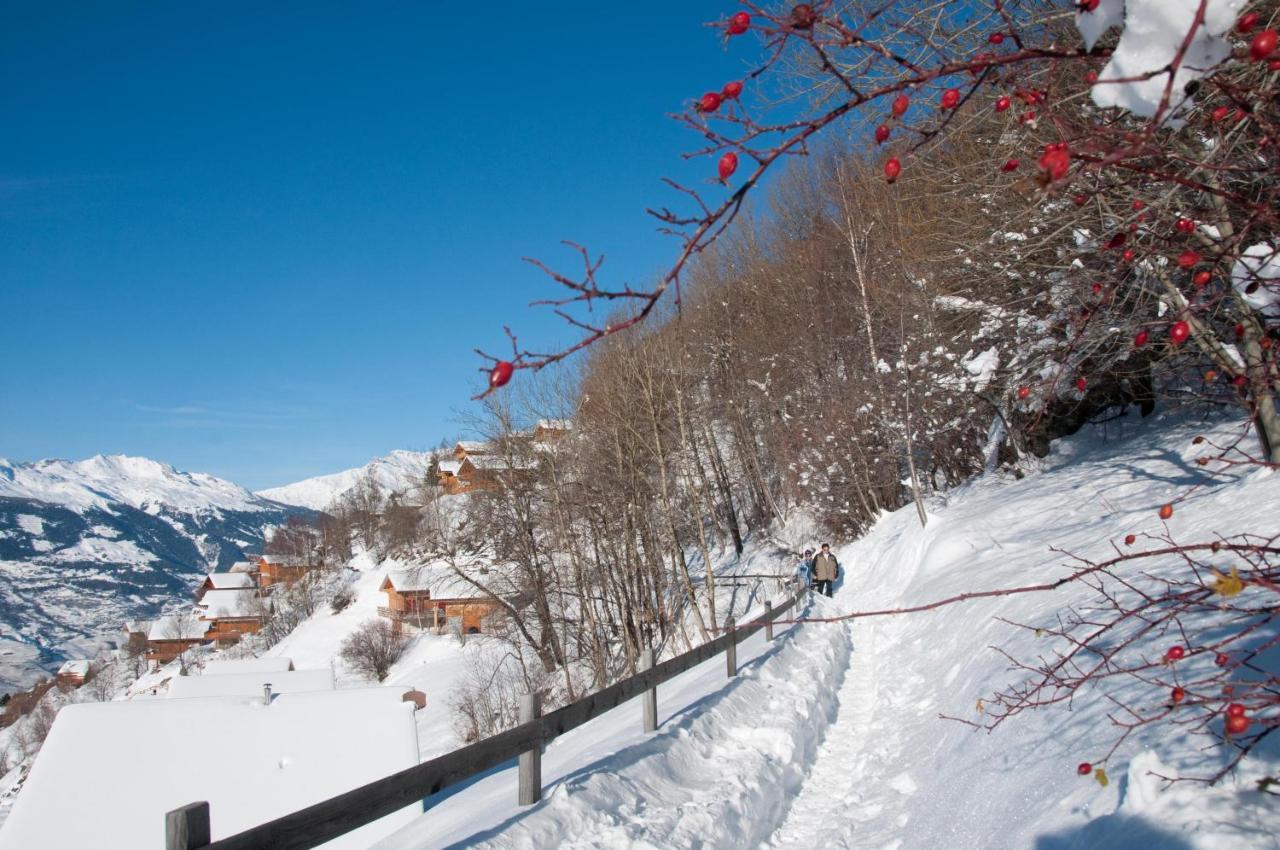 Greppons Cosy & Mountain Apartments By Alpvision Residences Veysonnaz Exterior foto